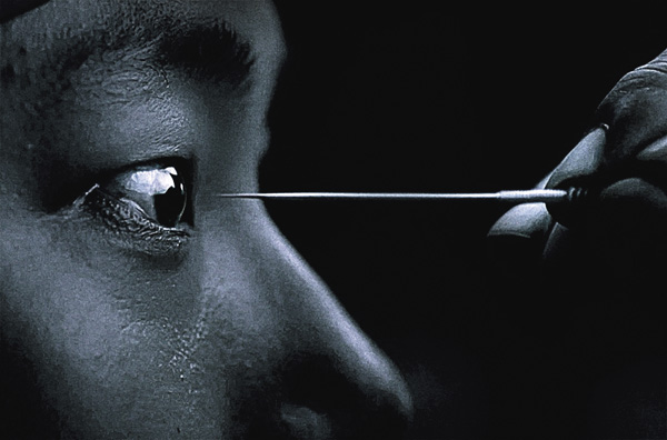 (映)梟-フクロウ-