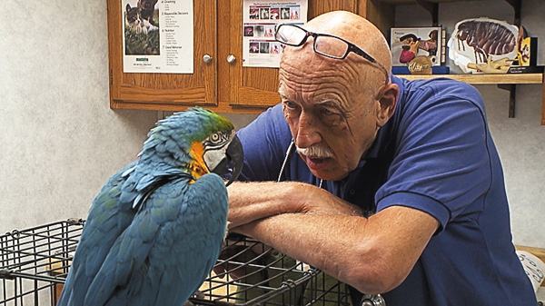 (新)スゴ腕どうぶつドクター 総集編4