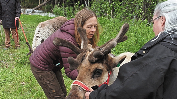 獣医ミシェルのクリスマス・スペシャル【吹替版日本初放送】