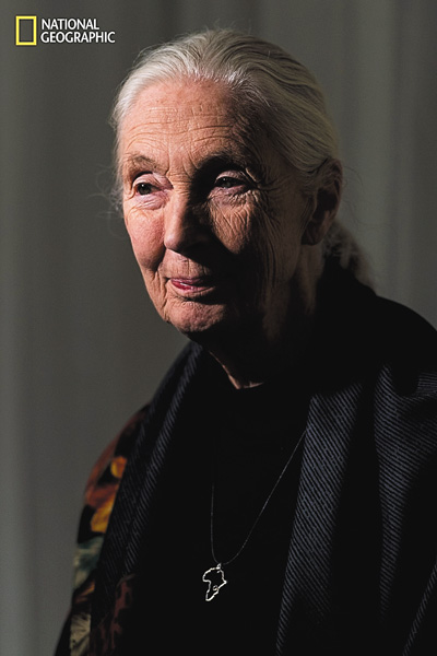 【ワイルド ネイチャー プラス】追悼:ジェーン・グドール