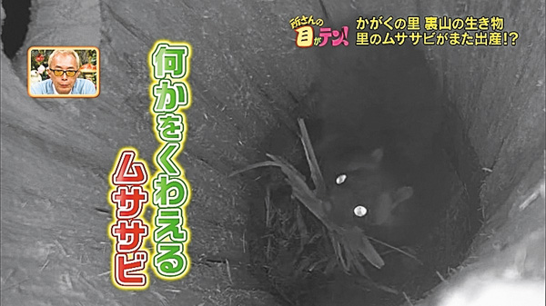 所さんの目がテン!