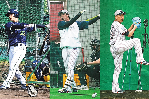 SWALLOWS CAMP L!VE 2026