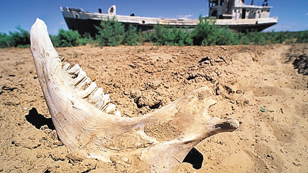 (新)ミステリアス・アイランド:孤島の光と影