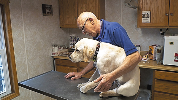 (新)スゴ腕どうぶつドクター 総集編5