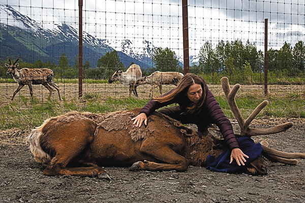 獣医ミシェルの感謝ウィークスペシャル【日本語吹替版】