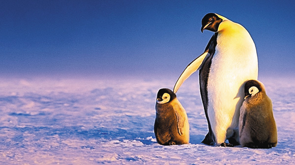 アースデイ WITH ナショナル ジオグラフィック