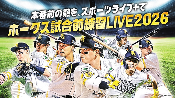 HAWKS 試合前練習
LIVE2026