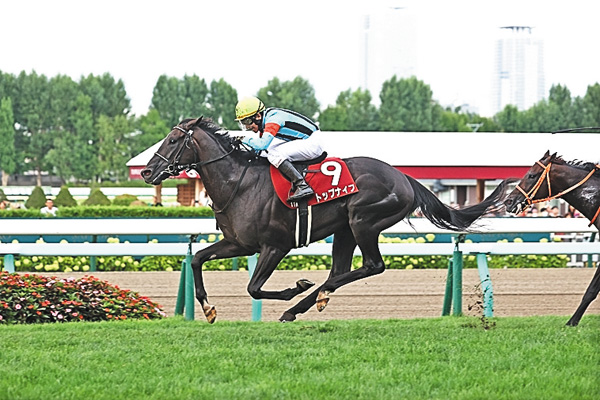 中央競馬全レース中継